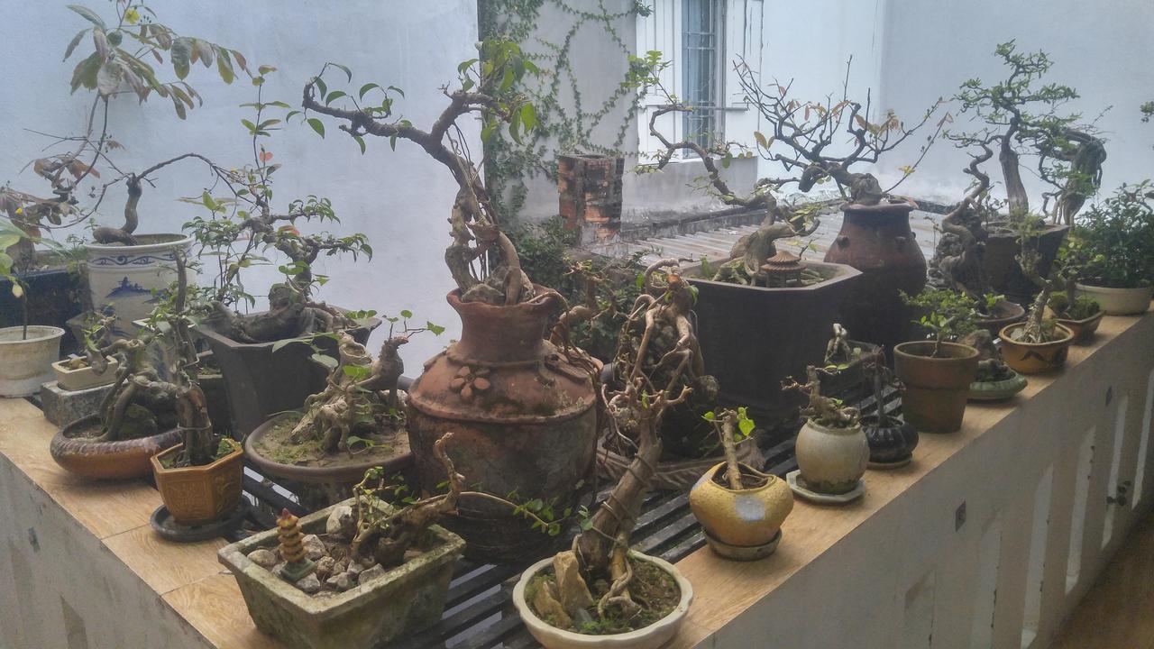 Rong Homestay Quy Nhon Εξωτερικό φωτογραφία